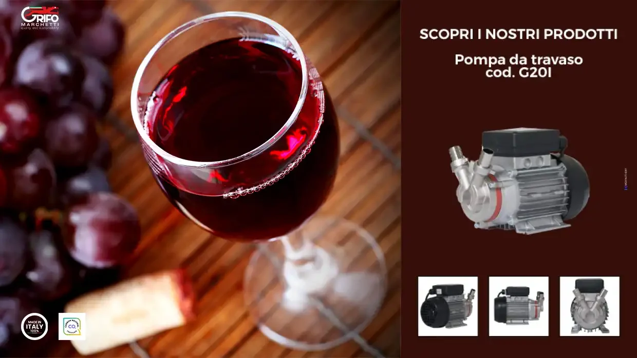 Come abbinare vino e cibo?