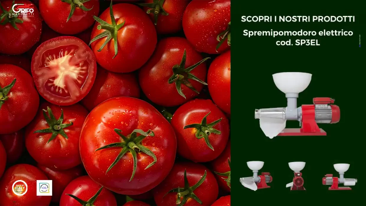 Il pomodoro: l’ingrediente perfetto!