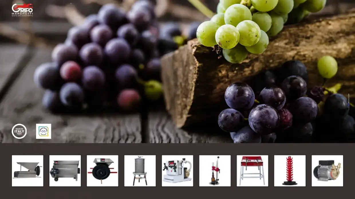 La vendemmia dell’uva è alle porte!