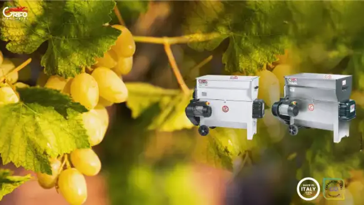 Regala Qualità e Tradizione con Grifo Marchetti: nuove diraspatrici vasca e pompa